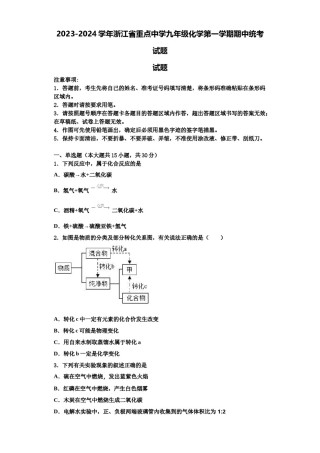 2023-2024学年浙江省重点中学九年级化学第一学期期中统考试题含解析.doc