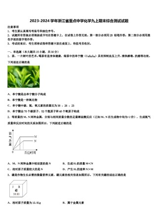 2023-2024学年浙江省重点中学化学九上期末综合测试试题含解析.doc