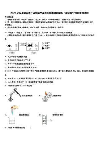 2023-2024学年浙江省金华兰溪市实验中学化学九上期末学业质量监测试题含解析.doc