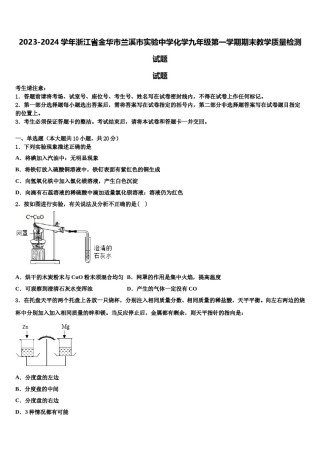 2023-2024学年浙江省金华市兰溪市实验中学化学九年级第一学期期末教学质量检测试题含解析.doc