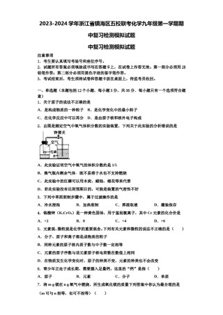 2023-2024学年浙江省镇海区五校联考化学九年级第一学期期中复习检测模拟试题含解析.doc