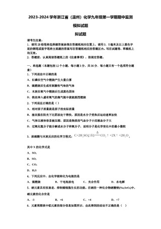 2023-2024学年浙江省（温州）化学九年级第一学期期中监测模拟试题含解析.doc
