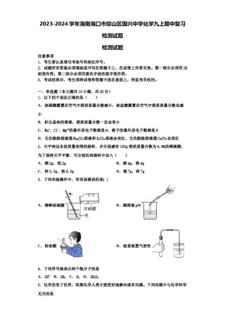2023-2024学年海南海口市琼山区国兴中学化学九上期中复习检测试题含解析.doc