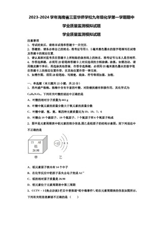 2023-2024学年海南省三亚华侨学校九年级化学第一学期期中学业质量监测模拟试题含解析.doc