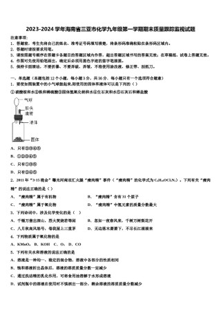 2023-2024学年海南省三亚市化学九年级第一学期期末质量跟踪监视试题含解析.doc