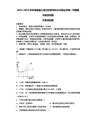 2023-2024学年海南省三亚市妙联学校九年级化学第一学期期中监测试题含解析.doc