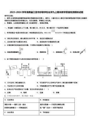 2023-2024学年海南省三亚市妙联学校化学九上期末教学质量检测模拟试题含解析.doc