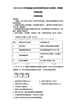 2023-2024学年海南省三亚市妙联学校化学九年级第一学期期中调研试题含解析.doc