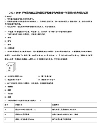 2023-2024学年海南省三亚市妙联学校化学九年级第一学期期末统考模拟试题含解析.doc