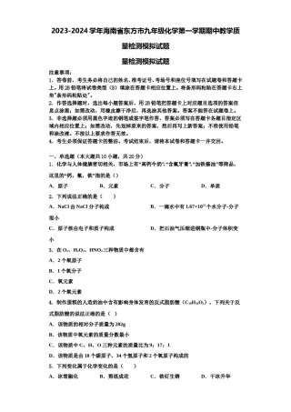 2023-2024学年海南省东方市九年级化学第一学期期中教学质量检测模拟试题含解析.doc