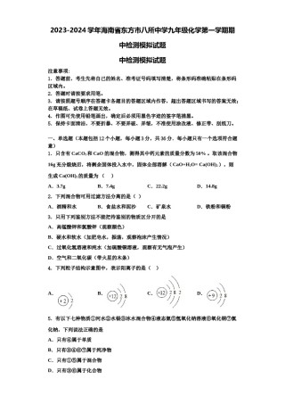 2023-2024学年海南省东方市八所中学九年级化学第一学期期中检测模拟试题含解析.doc