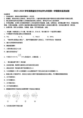 2023-2024学年海南省东方市化学九年级第一学期期末监测试题含解析.doc