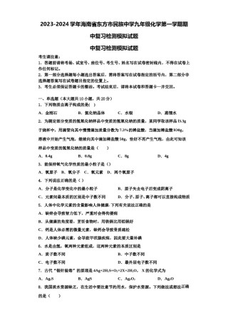 2023-2024学年海南省东方市民族中学九年级化学第一学期期中复习检测模拟试题含解析.doc