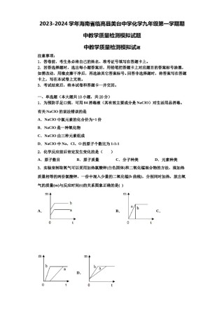 2023-2024学年海南省临高县美台中学化学九年级第一学期期中教学质量检测模拟试题含解析.doc
