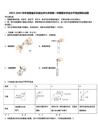2023-2024学年海南省乐东县化学九年级第一学期期末学业水平测试模拟试题含解析.doc
