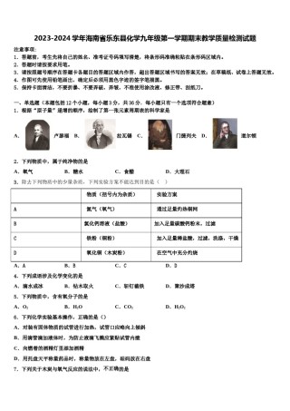 2023-2024学年海南省乐东县化学九年级第一学期期末教学质量检测试题含解析.doc