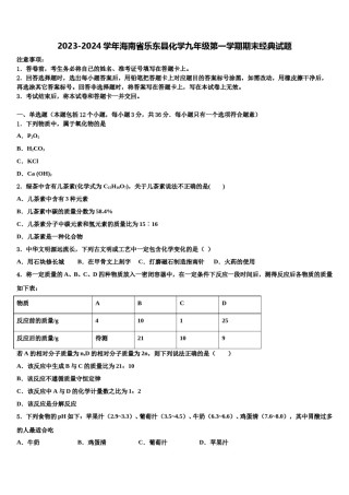 2023-2024学年海南省乐东县化学九年级第一学期期末经典试题含解析.doc