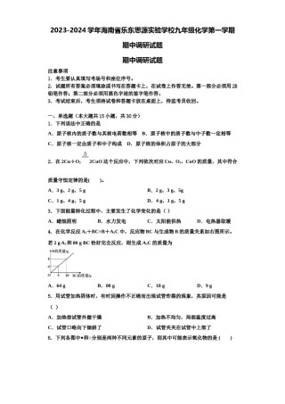 2023-2024学年海南省乐东思源实验学校九年级化学第一学期期中调研试题含解析.doc