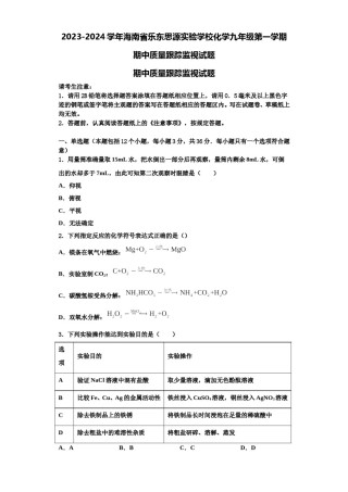 2023-2024学年海南省乐东思源实验学校化学九年级第一学期期中质量跟踪监视试题含解析.doc