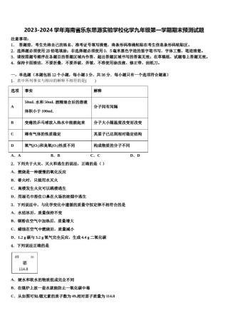 2023-2024学年海南省乐东思源实验学校化学九年级第一学期期末预测试题含解析.doc