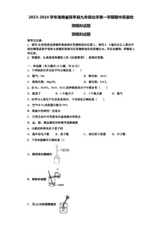2023-2024学年海南省保亭县九年级化学第一学期期中质量检测模拟试题含解析.doc