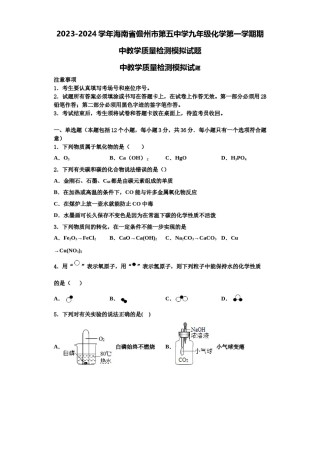 2023-2024学年海南省儋州市第五中学九年级化学第一学期期中教学质量检测模拟试题含解析.doc