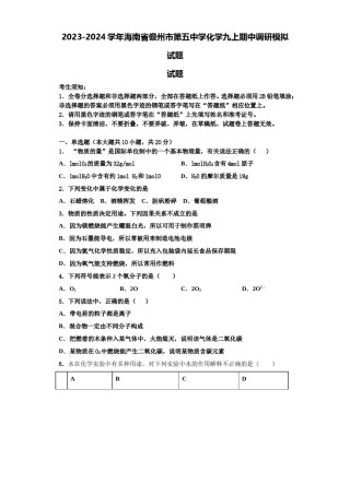 2023-2024学年海南省儋州市第五中学化学九上期中调研模拟试题含解析.doc