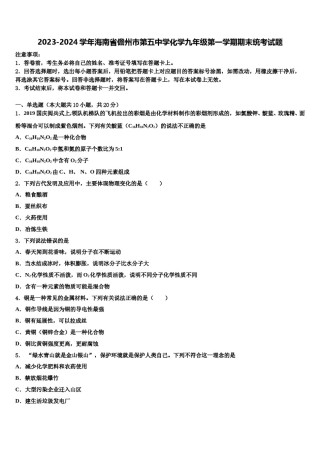 2023-2024学年海南省儋州市第五中学化学九年级第一学期期末统考试题含解析.doc