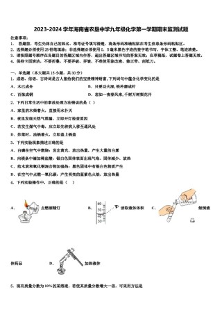 2023-2024学年海南省农垦中学九年级化学第一学期期末监测试题含解析.doc