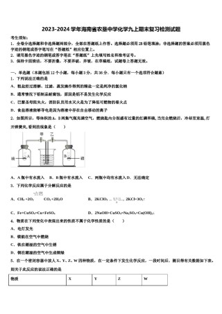 2023-2024学年海南省农垦中学化学九上期末复习检测试题含解析.doc