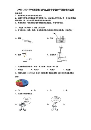 2023-2024学年海南省化学九上期中学业水平测试模拟试题含解析.doc