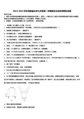 2023-2024学年海南省化学九年级第一学期期末达标检测模拟试题含解析.doc