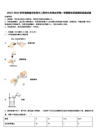 2023-2024学年海南省华东师大二附中九年级化学第一学期期末质量跟踪监视试题含解析.doc
