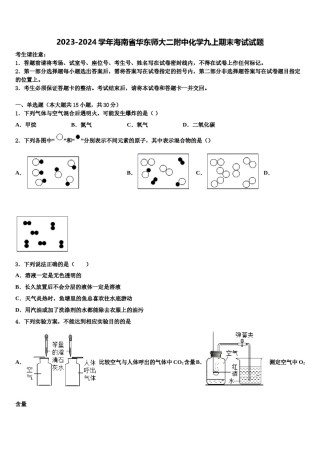 2023-2024学年海南省华东师大二附中化学九上期末考试试题含解析.doc