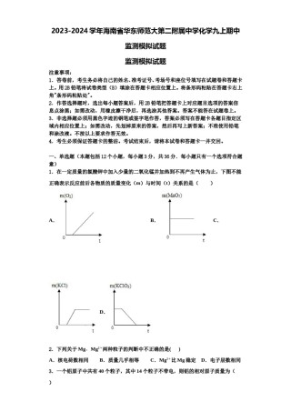 2023-2024学年海南省华东师范大第二附属中学化学九上期中监测模拟试题含解析.doc