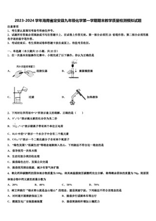 2023-2024学年海南省定安县九年级化学第一学期期末教学质量检测模拟试题含解析.doc