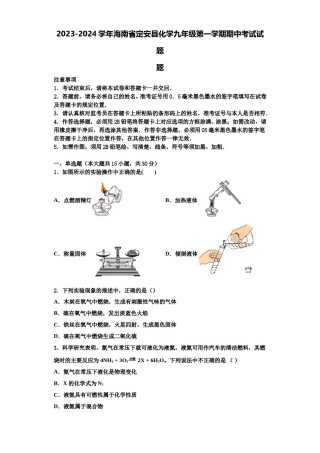 2023-2024学年海南省定安县化学九年级第一学期期中考试试题含解析.doc