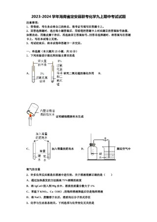 2023-2024学年海南省定安县联考化学九上期中考试试题含解析.doc