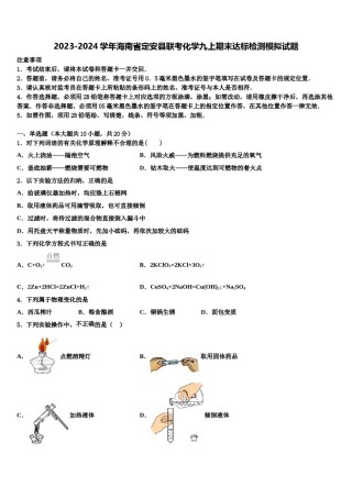 2023-2024学年海南省定安县联考化学九上期末达标检测模拟试题含解析.doc