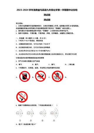2023-2024学年海南省屯昌县九年级化学第一学期期中达标检测试题含解析.doc