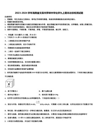 2023-2024学年海南省文昌市罗峰中学化学九上期末达标检测试题含解析.doc