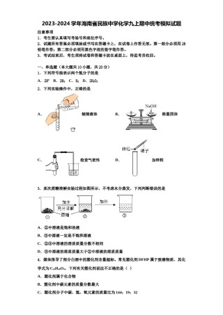 2023-2024学年海南省民族中学化学九上期中统考模拟试题含解析.doc