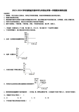 2023-2024学年海南省洋浦中学九年级化学第一学期期末调研试题含解析.doc
