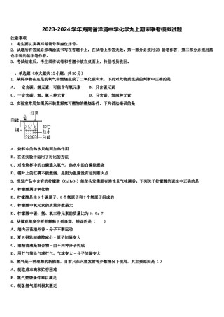 2023-2024学年海南省洋浦中学化学九上期末联考模拟试题含解析.doc