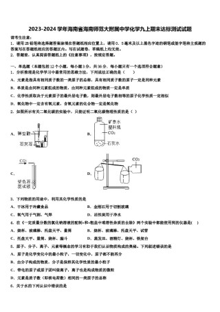2023-2024学年海南省海南师范大附属中学化学九上期末达标测试试题含解析.doc