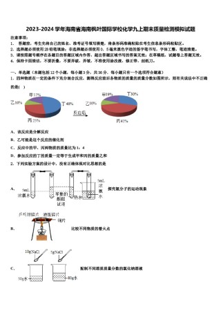 2023-2024学年海南省海南枫叶国际学校化学九上期末质量检测模拟试题含解析.doc