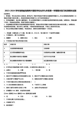 2023-2024学年海南省海南枫叶国际学校化学九年级第一学期期末复习检测模拟试题含解析.doc