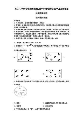 2023-2024学年海南省海口九中学海甸分校化学九上期中质量检测模拟试题含解析.doc