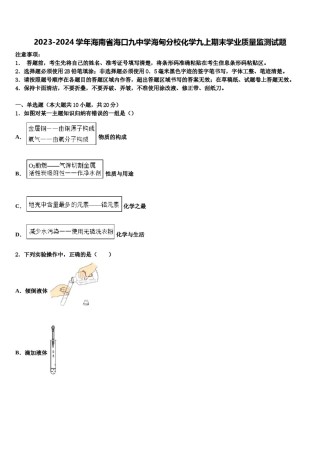 2023-2024学年海南省海口九中学海甸分校化学九上期末学业质量监测试题含解析.doc