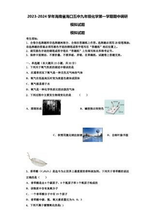 2023-2024学年海南省海口五中九年级化学第一学期期中调研模拟试题含解析.doc